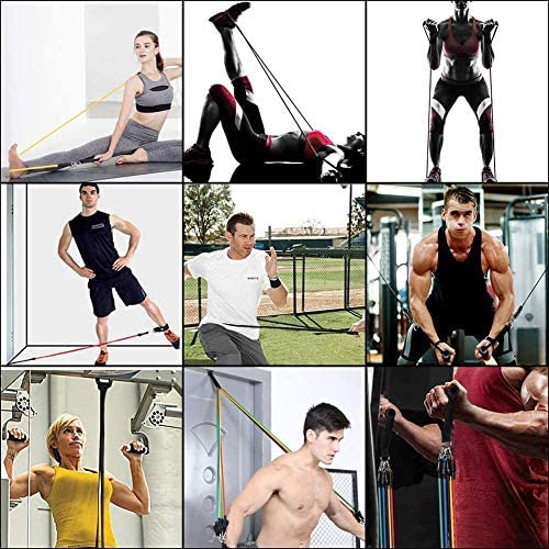 STARISE Resistance Bands Set - 5-Piece Exercise Bands - Portable Home Gym Accessories - Stackable Up to 150 lbs. - Perfect Muscle Builder for Arms, Back, Leg, Chest, Belly, Glutes : Sports & Outdoors