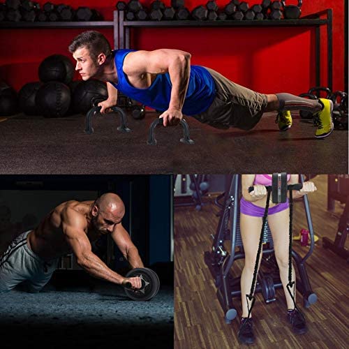 EnterSports Ab Roller Wheel, 6-in-1 Ab Roller Kit with Knee Pad, Resistance Bands, Pad Push Up Bars Handles Grips, Perfect Home Gym Equipment for Men Women Abdominal Exercise : Sports & Outdoors